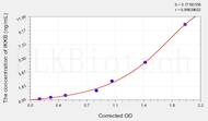 Mouse IKKB(Inhibitor of κ B Kinase β) ELISA Kit