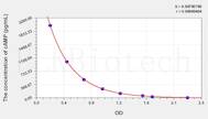 Rat cAMP(Cyclic Adenosine Monophosphate) ELISA Kit