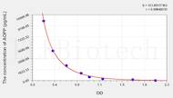 Rat AOPP(Advanced Oxidation Protein Products) ELISA Kit