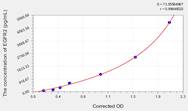 EasyStep Human EGFR2(Epidermal Growth Factor Receptor 2) ELISA Kit