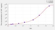 Dog CAT(Catalase) ELISA Kit