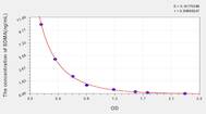 Rat SDMA(Symmetric dimethylarginine) ELISA Kit