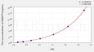 Human ANG1(Angiopoietin1) ELISA Kit