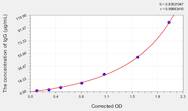 Simian IgG(Immunoglobulin G) ELISA Kit