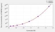 Rat HSP90(Heat Shock Protein 90) ELISA Kit