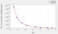 Rat NKB(Neurokinin B) ELISA Kit