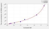 Mouse CREB(Cyclic AMP Response Element Binding Protein) ELISA Kit