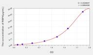 Mouse RBP4(Retinol Binding Protein 4, Plasma) ELISA Kit