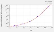 Human IGF1(Insulin Like Growth Factor 1) ELISA Kit