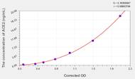 Human ACE2(Angiotensin I Converting Enzyme 2) ELISA Kit