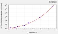 Mouse SHBG(Sex Hormone Binding Globulin) ELISA Kit