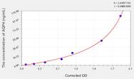 Rat AQP4(Aquaporin 4) ELISA Kit