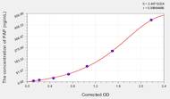 Human PAP(Plasmin/Antiplasmin Complex) ELISA Kit