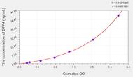 Mouse DPP4(Dipeptidyl Peptidase IV) ELISA Kit