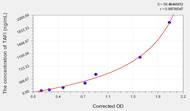 Human TAFI(Thrombin Activatable Fibrinolysis Inhibitor) ELISA Kit