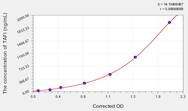 Rat TAFI(Thrombin Activatable Fibrinolysis Inhibitor) ELISA Kit