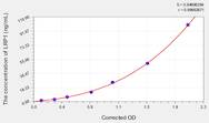 Human LRP1(Low Density Lipoprotein Receptor Related Protein 1) ELISA Kit