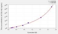 Human COL1a2(Collagen Type I α 2) ELISA Kit