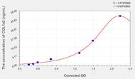 Rabbit COL1a2(Collagen Type I α 2) ELISA Kit