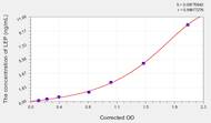 Rabbit LEP(Leptin) ELISA Kit