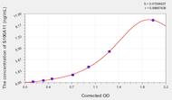 Rat S100A11(S100 Calcium Binding Protein A11) ELISA Kit