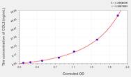 Human COL2(Collagen Type II) ELISA Kit