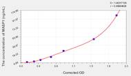 Human MASP1(Mannose Associated Serine Protease 1) ELISA Kit