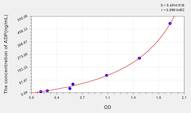 Chicken ADP(Adiponectin) ELISA Kit