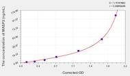 Human MASP2(Mannose Associated Serine Protease 2) ELISA Kit