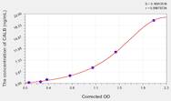 Human CALB(Calbindin) ELISA Kit