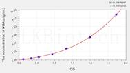 Human NGAL(Neutrophil Gelatinase Associated Lipocalin) ELISA Kit