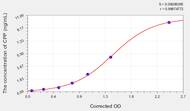 Human CPP(Copeptin) ELISA Kit