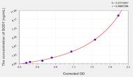 Rat SOD1(Superoxide Dismutase 1, Soluble) ELISA Kit