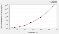 Rat MT1(Metallothionein 1) ELISA Kit