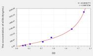 Rat sC5b-9(Soluble Terminal Complement Complex C5b-9) ELISA Kit