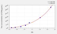 Rat CFB(Complement Factor B) ELISA Kit