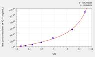 Guinea pig IGF1(Insulin Like Growth Factor 1) ELISA Kit