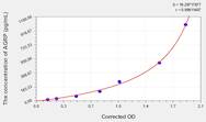 Rat AGRP(Agouti Related Protein) ELISA Kit