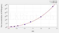 Human SPD(Surfactant Associated Protein D) ELISA Kit