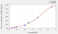 Rat DBP(D Site Of Albumin Promoter Binding Protein) ELISA Kit