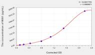 Rat MIA1(Melanoma Inhibitory Activity Protein 1) ELISA Kit