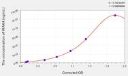 Rat IRAK4(Interleukin 1 Receptor Associated Kinase 4) ELISA Kit