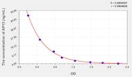 Rat AP13(Apelin 13) ELISA Kit