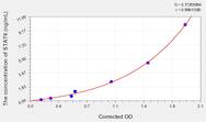 Rat STAT6(Signal Transducer And Activator Of Transcription 6) ELISA Kit