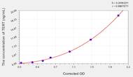 Rat TERT(Telomerase Reverse Transcriptase) ELISA Kit