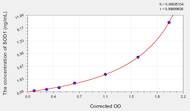 Rabbit SOD1(Superoxide Dismutase 1, Soluble) ELISA Kit