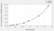 Mouse MANF(Mesencephalic Astrocyte Derived Neurotrophic Factor) ELISA Kit