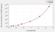 Rat LRP2(Low Density Lipoprotein Receptor Related Protein 2) ELISA Kit