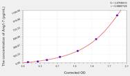 Rat Ang1-7(Angiotensin 1-7) ELISA Kit