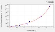 Mouse SYP(Synaptophysin) ELISA Kit